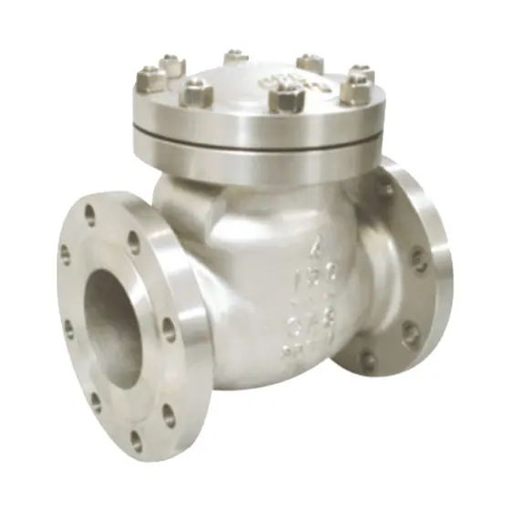 American Standard Stainless Steel Swing Check Valve