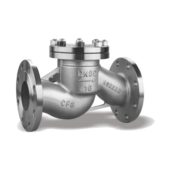 ZGV stainless-steel check-valve exterior with bolted cover and flanged ends.