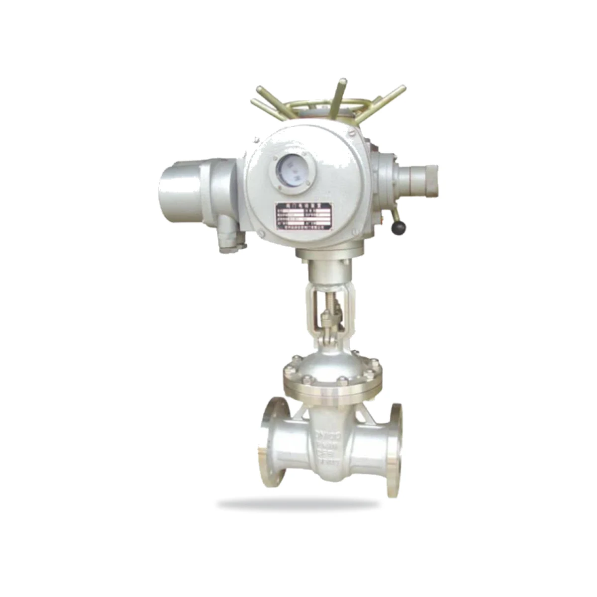 Z941W-25P Electric Flanged Gate Valve