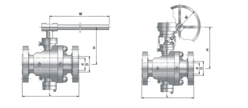 Structure and product views for Two piece fixed ball valve Class600/900