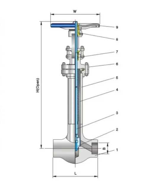 Structure and product views for Bellows globe valve Class800