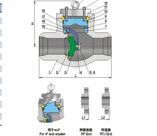 Structure and product views for Bolted valve cover swing check valve CLass900/1500/2500