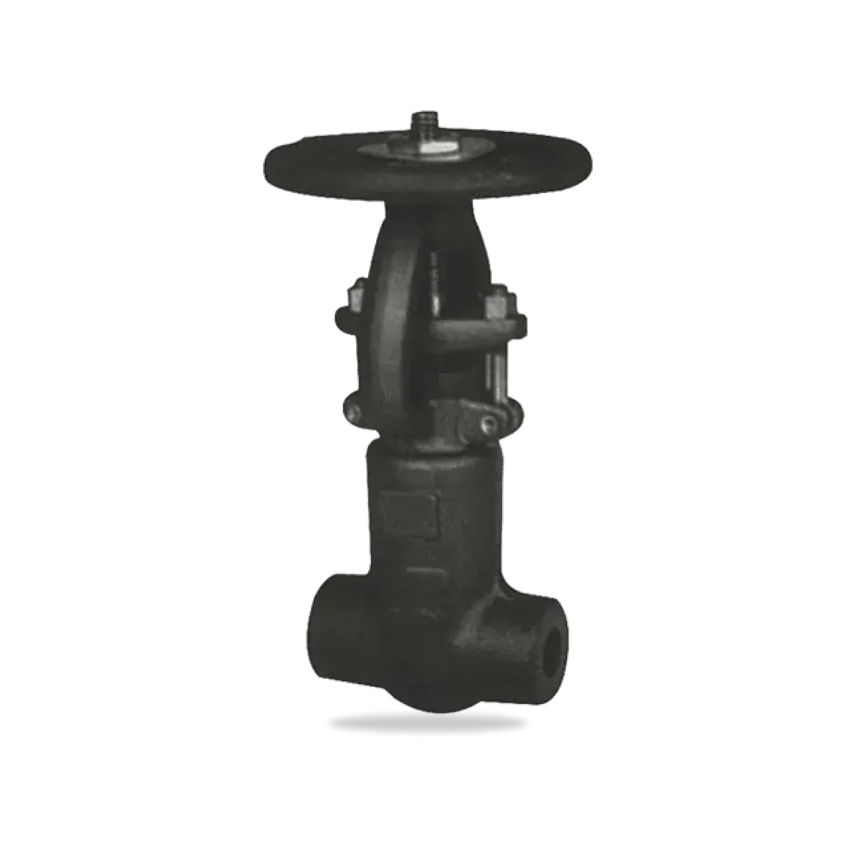 Forged steel valve