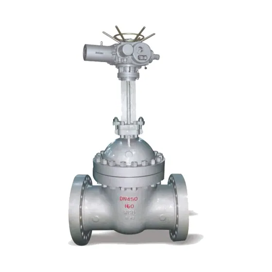Z941H-40C National Standard Electric Flange Gate Valve