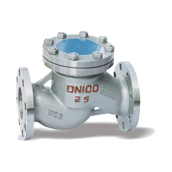 H41H National Standard Lift Check Valve