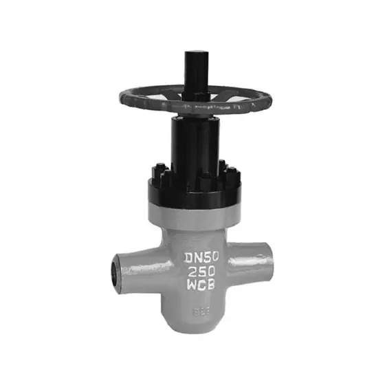 ZF43Y, KZF43Y oilfield specific high-pressure flat valve