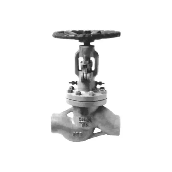 DS/J41, DS/J61 welded water seal globe valves