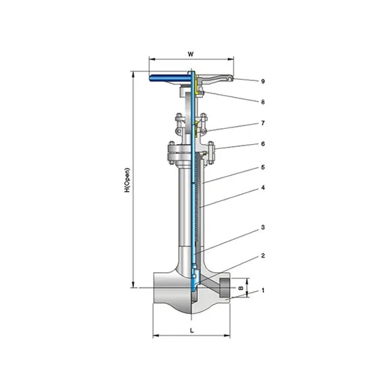 Bellows globe valve Class800