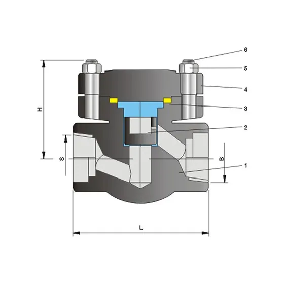 Forged steel lifting flange check valve Class800